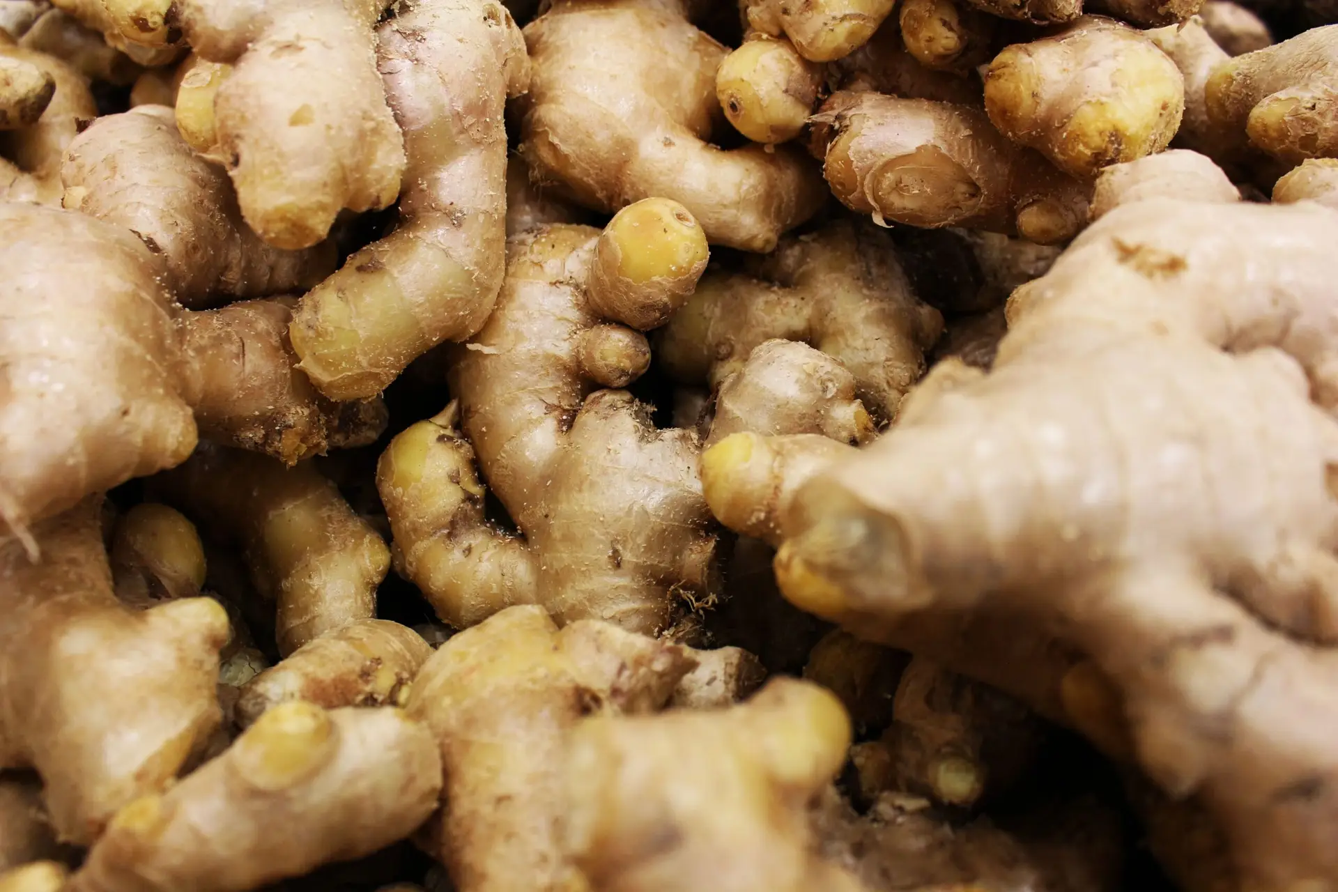 ada ada