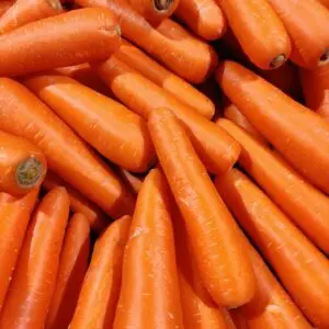 carrot